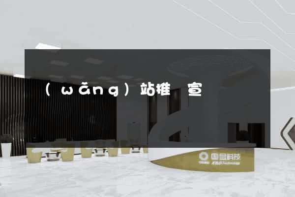 網(wǎng)站推廣宣傳
