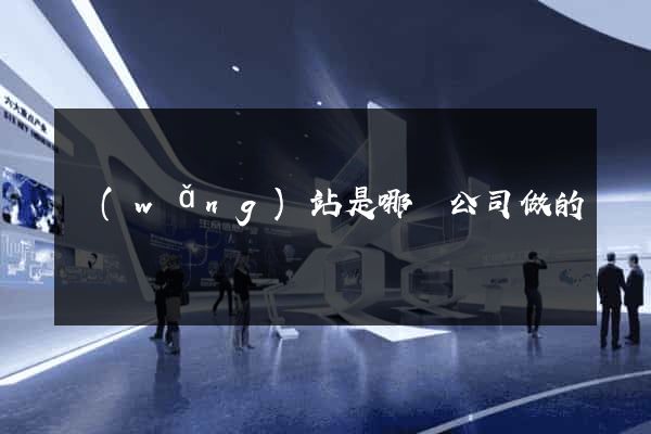 網(wǎng)站是哪個公司做的