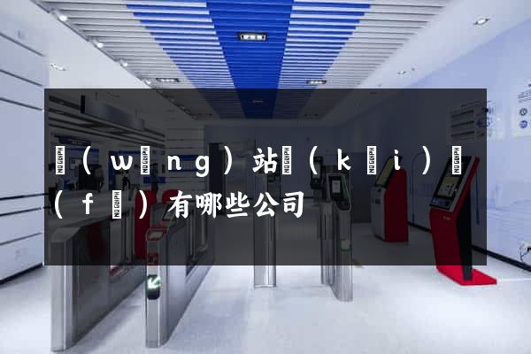 網(wǎng)站開(kāi)發(fā)有哪些公司