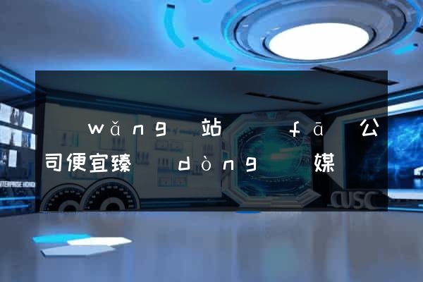 網(wǎng)站開發(fā)公司便宜臻動(dòng)傳媒