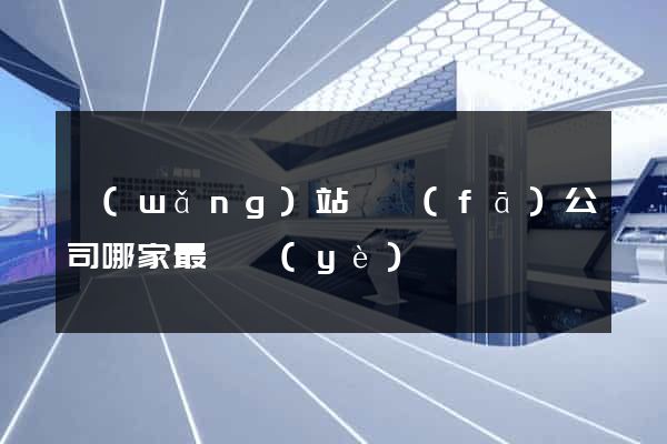 網(wǎng)站開發(fā)公司哪家最專業(yè)