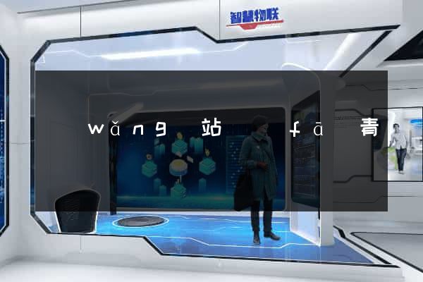 網(wǎng)站開發(fā)青島