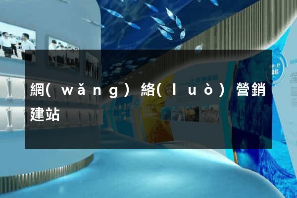 網(wǎng)絡(luò)營銷建站