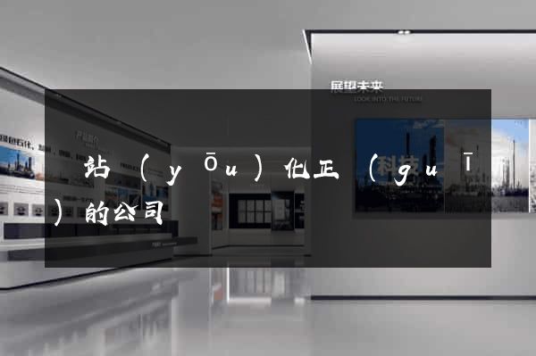 網站優(yōu)化正規(guī)的公司