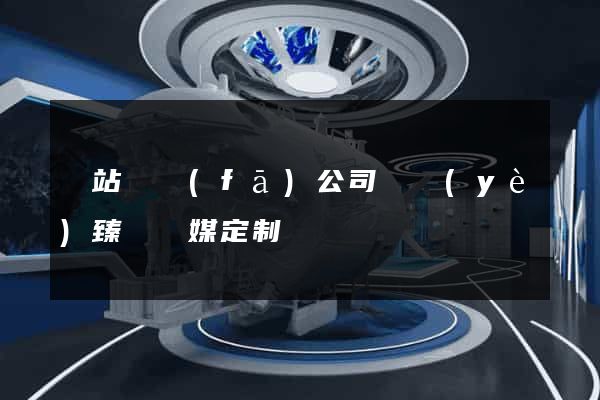 網站開發(fā)公司專業(yè)臻動傳媒定制