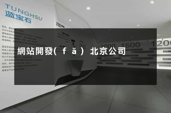 網站開發(fā)北京公司