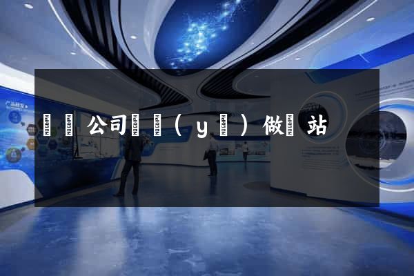 網絡公司專業(yè)做網站