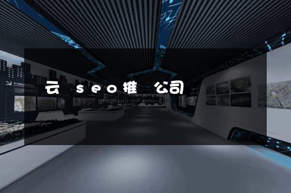 縉云縣seo推廣公司