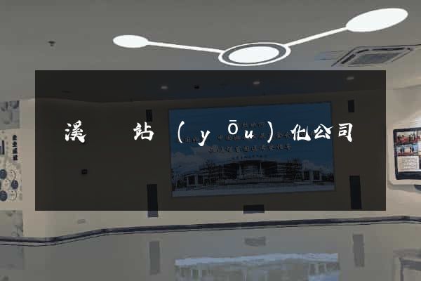 績溪縣網站優(yōu)化公司