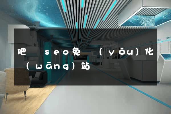 肥東縣seo免費優(yōu)化網(wǎng)站