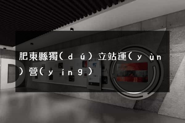 肥東縣獨(dú)立站運(yùn)營(yíng)