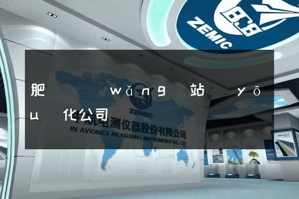 肥東縣網(wǎng)站優(yōu)化公司