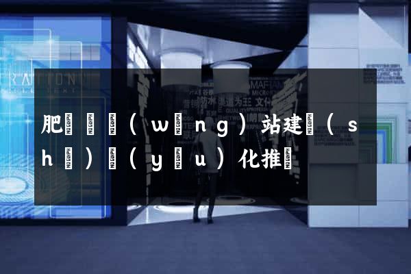 肥東縣網(wǎng)站建設(shè)優(yōu)化推廣