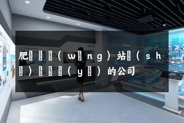 肥東縣網(wǎng)站設(shè)計專業(yè)的公司