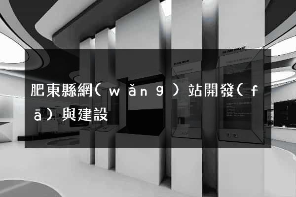 肥東縣網(wǎng)站開發(fā)與建設