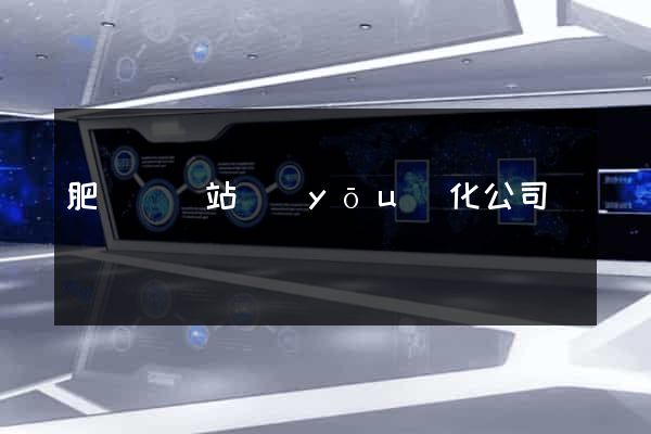 肥東縣網站優(yōu)化公司