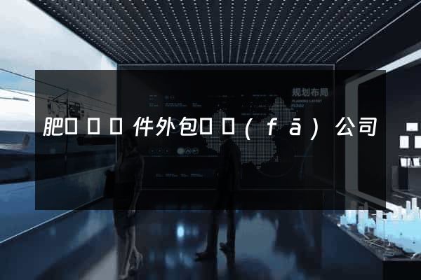 肥東縣軟件外包開發(fā)公司