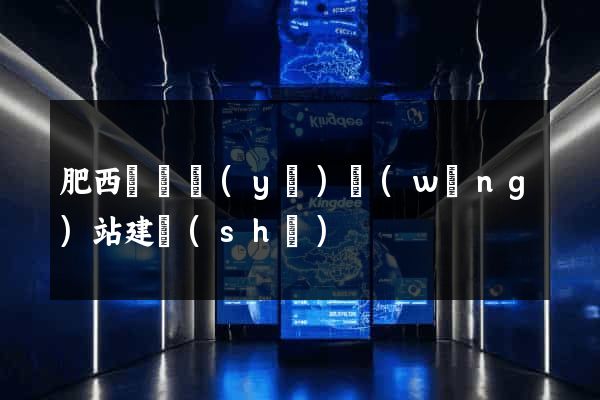 肥西縣專業(yè)網(wǎng)站建設(shè)