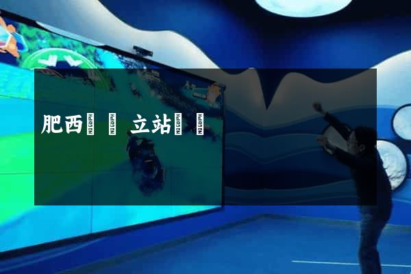肥西縣獨立站運營