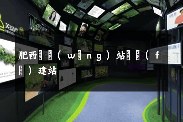 肥西縣網(wǎng)站開發(fā)建站