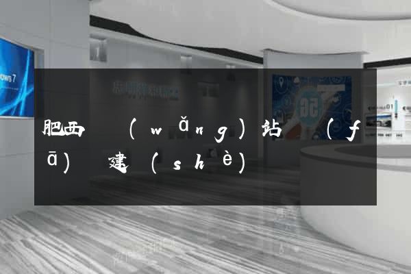 肥西縣網(wǎng)站開發(fā)與建設(shè)