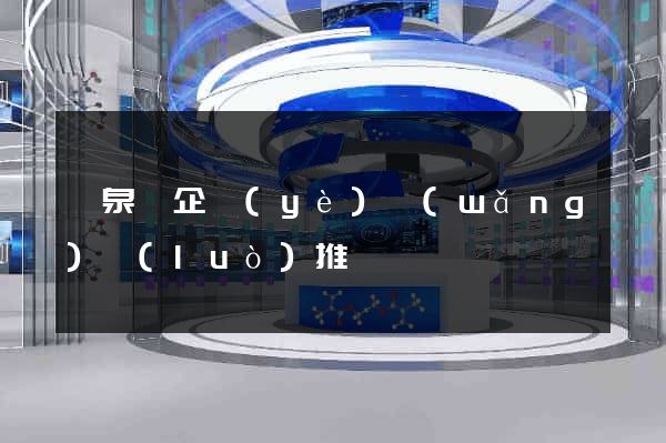 臨泉縣企業(yè)網(wǎng)絡(luò)推廣