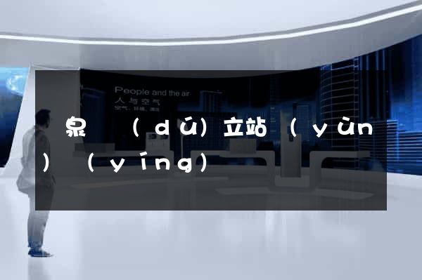 臨泉縣獨(dú)立站運(yùn)營(yíng)