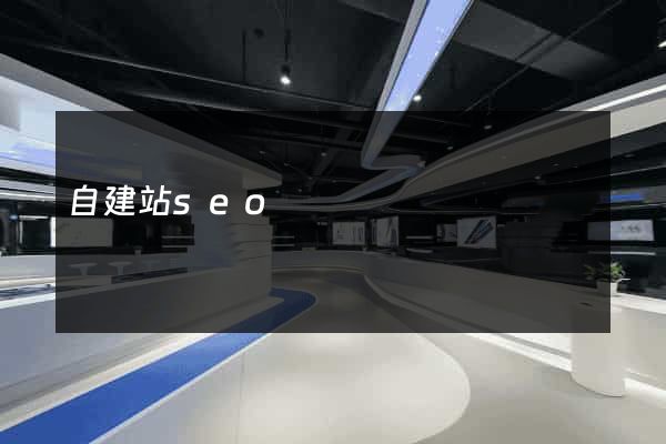 自建站seo