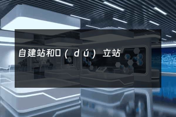 自建站和獨(dú)立站