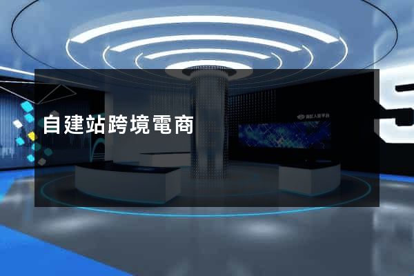 自建站跨境電商