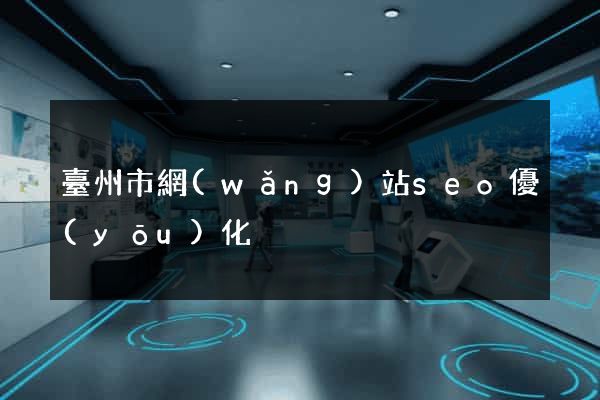 臺州市網(wǎng)站seo優(yōu)化