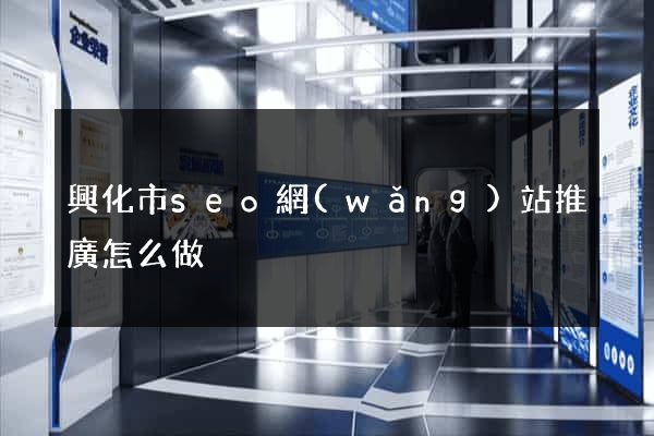 興化市seo網(wǎng)站推廣怎么做