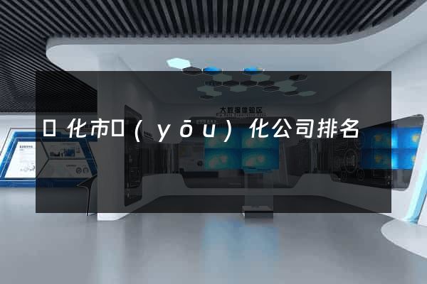 興化市優(yōu)化公司排名