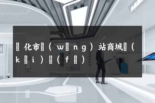 興化市網(wǎng)站商城開(kāi)發(fā)
