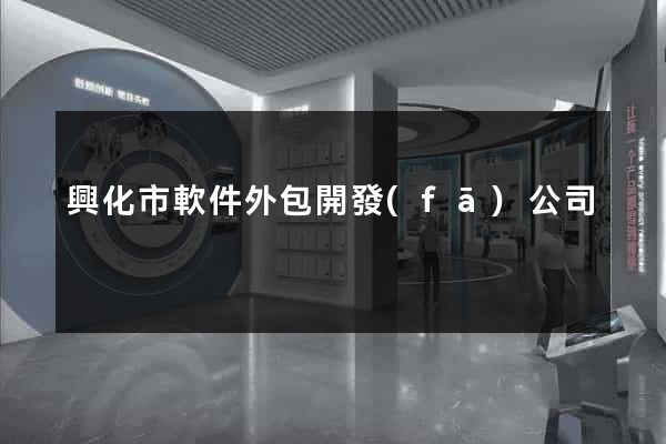 興化市軟件外包開發(fā)公司