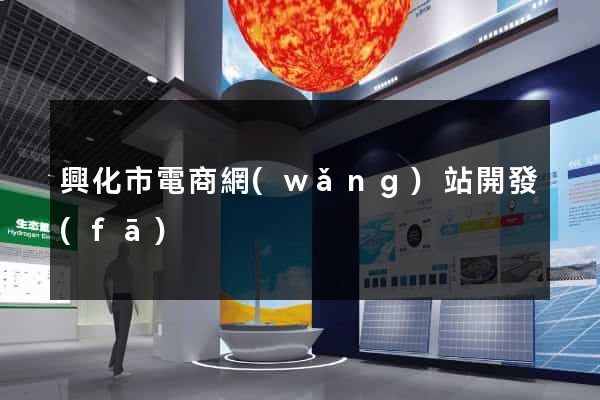 興化市電商網(wǎng)站開發(fā)