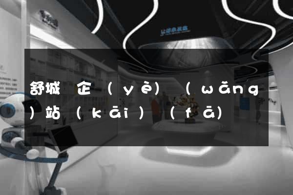 舒城縣企業(yè)網(wǎng)站開(kāi)發(fā)