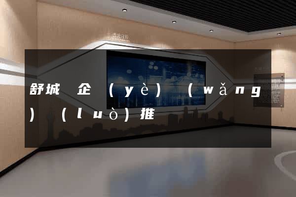 舒城縣企業(yè)網(wǎng)絡(luò)推廣