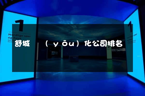 舒城縣優(yōu)化公司排名
