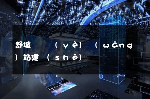 舒城縣專業(yè)網(wǎng)站建設(shè)