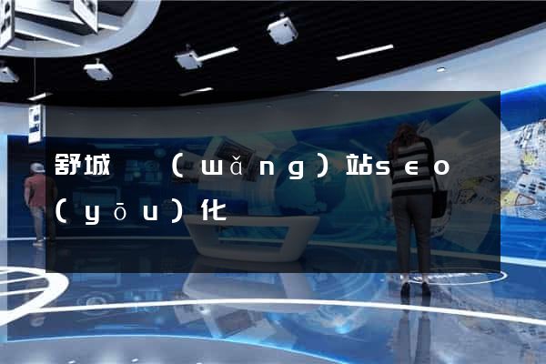 舒城縣網(wǎng)站seo優(yōu)化