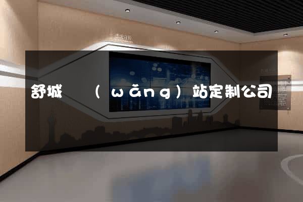 舒城縣網(wǎng)站定制公司