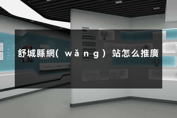舒城縣網(wǎng)站怎么推廣