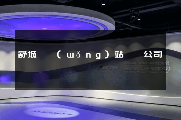 舒城縣網(wǎng)站設計公司