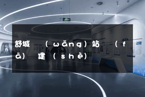 舒城縣網(wǎng)站開發(fā)與建設(shè)