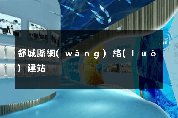 舒城縣網(wǎng)絡(luò)建站