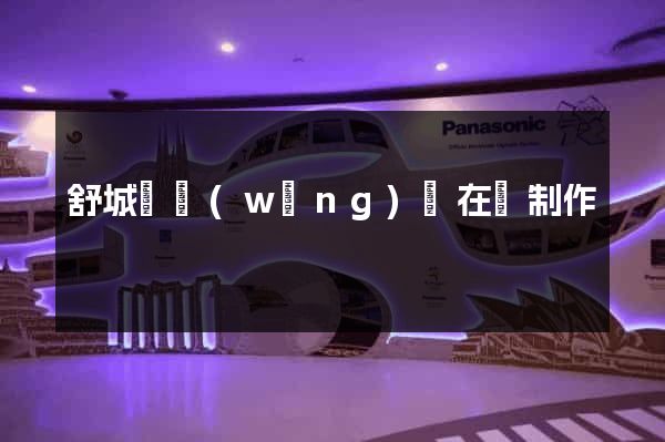 舒城縣網(wǎng)頁在線制作