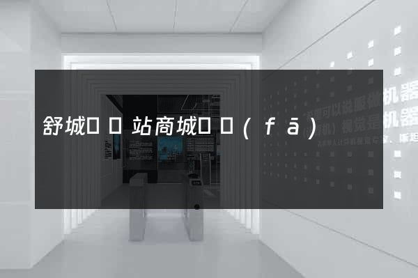 舒城縣網站商城開發(fā)