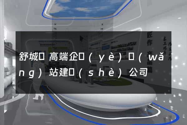 舒城縣高端企業(yè)網(wǎng)站建設(shè)公司