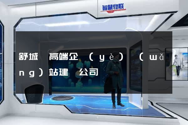 舒城縣高端企業(yè)網(wǎng)站建設公司